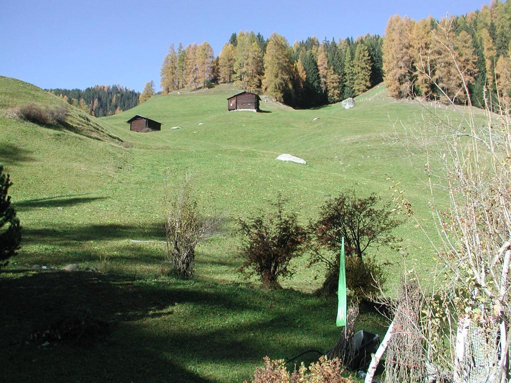 Ferienwohnung Gadenstatt Davos Exterior foto